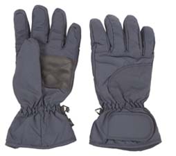 Ski Gloves
